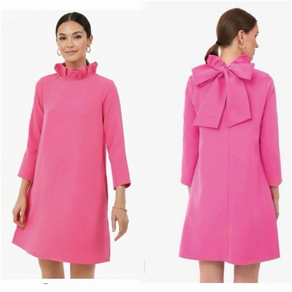 Tuckernuck Daphne Ruffle Collar Mini Dress with Bow Pink Women's Plus XXL NWT